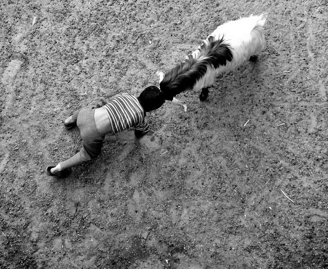 2015 yılının en iyi mobil fotoğrafları