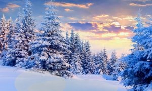 Yurttan kar manzaraları