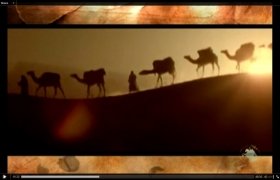 Türkiye'li direnişçilerin Hikayesi