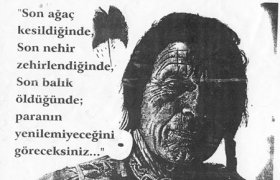 Kızılderililerin peşinde