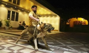 Kadirov'un İşkence Hayvanları