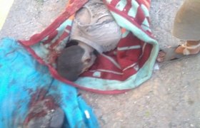 Suriye'de Yaşamını Yitiren Türkler